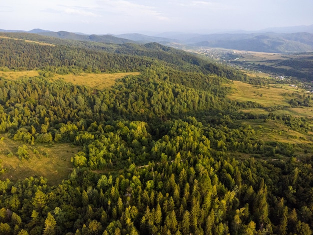 Vista aérea del paisaje del bosque de montaña