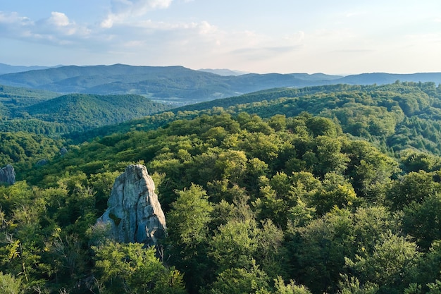 Vista aérea del paisaje brillante con árboles de bosque verde y grandes rocas rocosas entre densos bosques en verano. Hermoso paisaje de bosques salvajes.