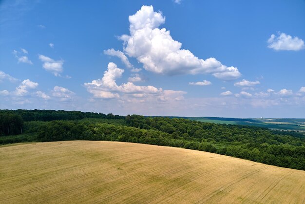 Vista aérea del paisaje del campo agrícola amarillo cultivado con paja seca de trigo cortado después de la cosecha.