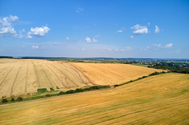 Vista aérea del paisaje del campo agrícola cultivado amarillo con paja seca de trigo cortado después de la cosecha