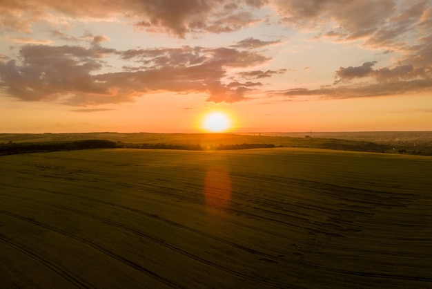 Vista aérea del paisaje del campo agrícola cultivado amarillo con trigo maduro en la vibrante noche de verano