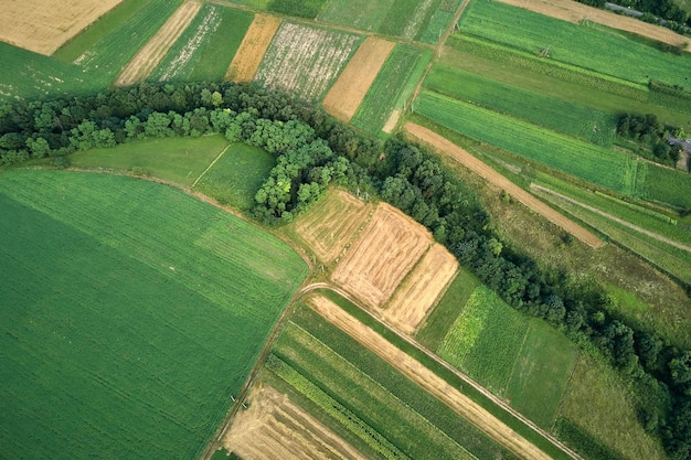 Vista aérea del paisaje de campos agrícolas cultivados verdes y amarillos con cultivos en crecimiento en un brillante día de verano