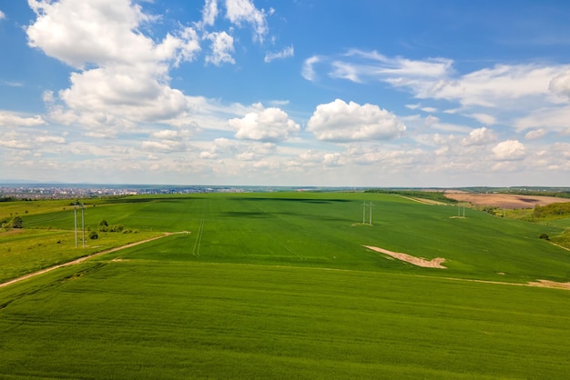 Vista aérea del paisaje de campos agrícolas cultivados verdes con cultivos en crecimiento en un brillante día de verano.