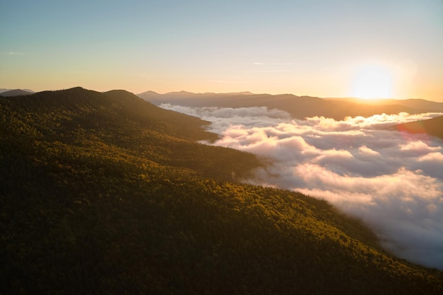 Vista aérea de un paisaje increíble con pinos de bosque de montaña oscuro y neblinoso al amanecer de otoño Hermoso bosque salvaje con brillantes rayos de luz al amanecer