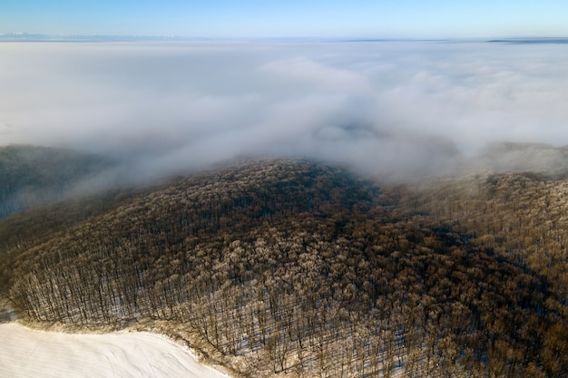 Vista aérea del paisaje invernal con árboles del bosque desnudo oscuro cubiertos con una densa niebla.