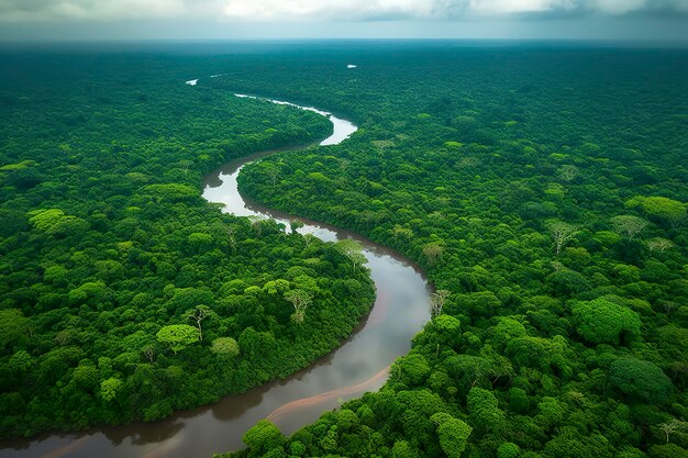 Vista aérea del paisaje de la selva amazónica con la curva del río IA generativa