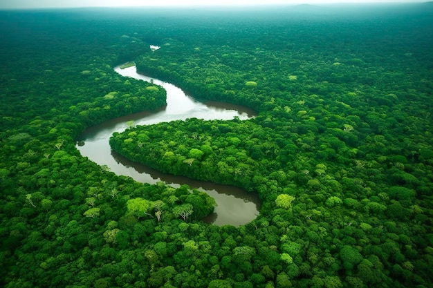 Vista aérea del paisaje de la selva amazónica con la curva del río IA generativa