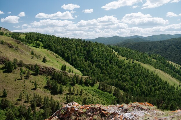 Vista aérea del paisaje de taiga de verano.