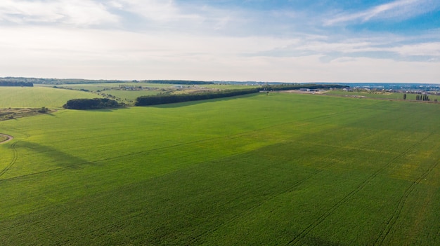 Vista aérea del paisaje de verano del campo agrícola verde