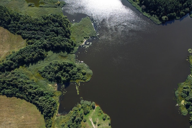 Vista aérea del paisaje de verano con río y bosque verde