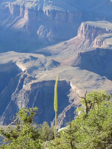 Vista aérea del paisaje