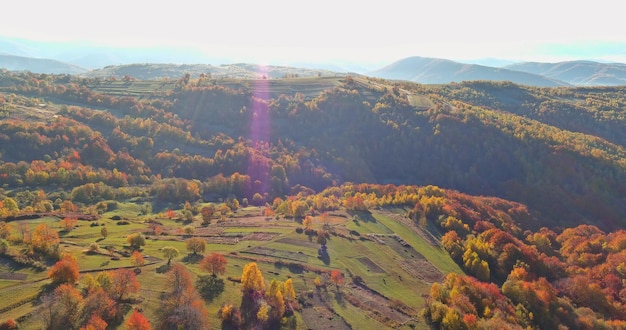 Una vista aérea panorámica del bosque en otoño desde la cima de la montaña