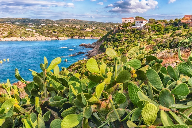 Vista aérea panorâmica da costa de santa teresa gallura, localizada no extremo norte da sardenha, no estreito de bonifácio, na província de sassari, itália