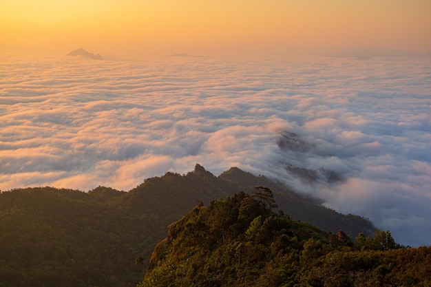 Vista aérea panorámica Drone foto de la luz del sol del paisaje hermoso paisaje en la mañana