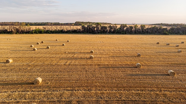 Foto vista aérea panorámica sobre la parte superior de un paisaje de verano de campo agrícola segado de centeno