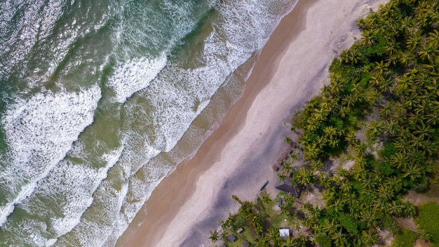 Vista aérea de la paradisíaca playa de Itacarezinho Itacare Bahia Brasil Lugar turístico con vista superior al mar y la vegetación