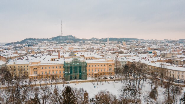 Vista aérea del parque de lviv en el centro en el espacio de copia de día de invierno