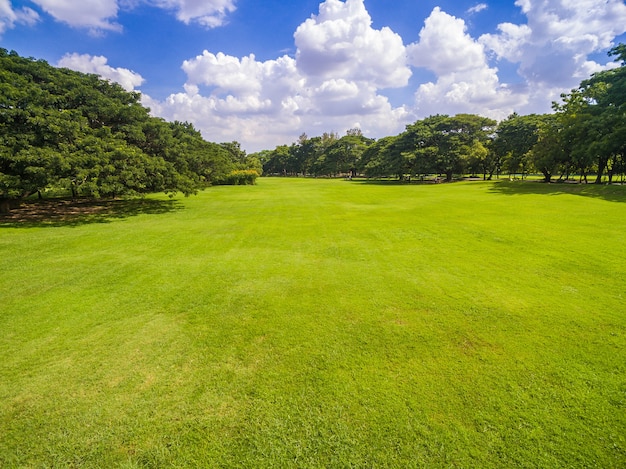 Vista aérea del parque