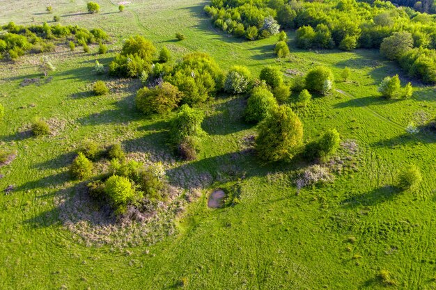 Vista aérea de pastos verdes con pequeños estanques naturales de bebida para búfalos y animales de granja Transilvania Rumania