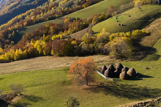 Foto vista aérea de una pequeña granja y un colorido bosque de otoño