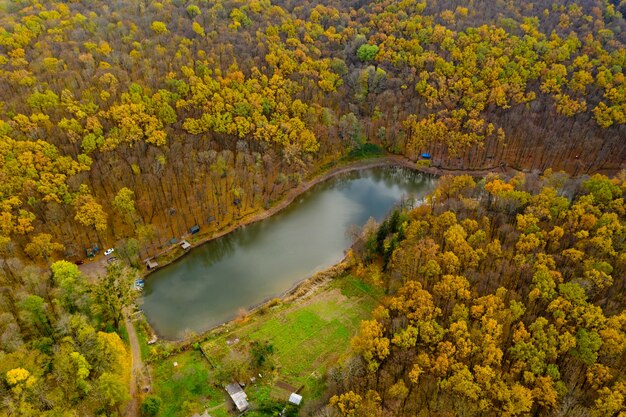 Vista aérea del pequeño lago en el bosque.