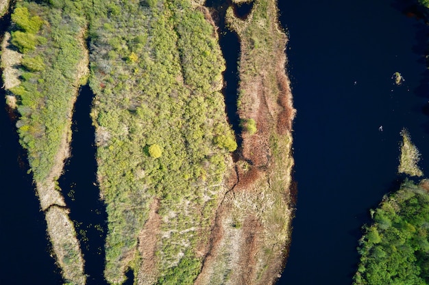 Vista aérea del plan de inundación del río y bosque verde en día de verano. Vista de pájaro del hermoso paisaje natural