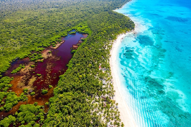 Vista aérea de la playa de la isla tropical caribeña con palmeras