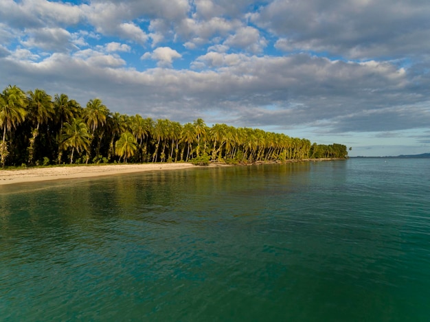 Foto vista aérea de la playa tropical del desierto isla zapatilla bocas del toro panamá