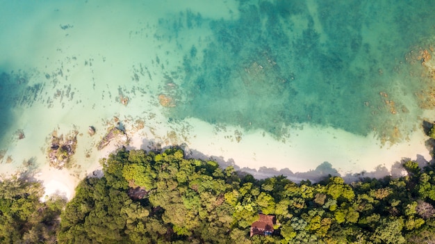 Vista aérea de la playa tropical en la isla