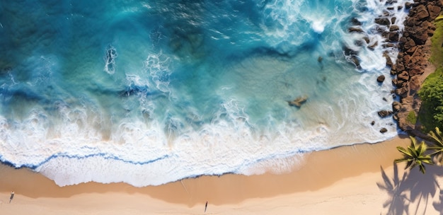 Una vista aérea de la playa tropical y el océano con palmeras.