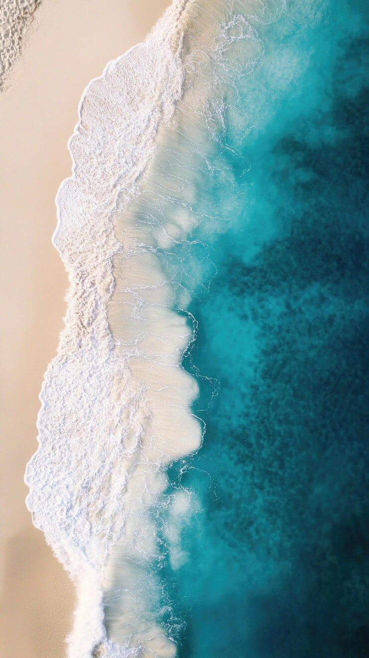 vista aérea de una playa tropical con olas oceánicas turquesas y exuberantes palmeras verdes