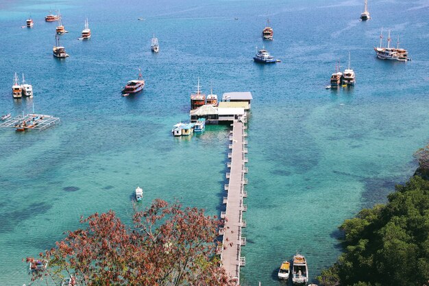 Vista aérea del puerto con muchos barcos en el mar