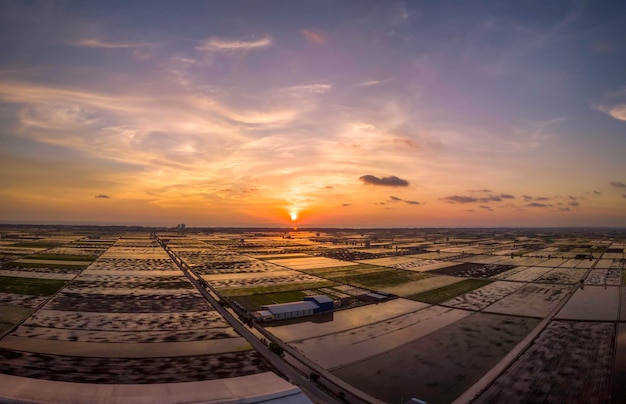 Vista aérea de la puesta de sol sobre el pueblo de arroz en Selangor Malasia