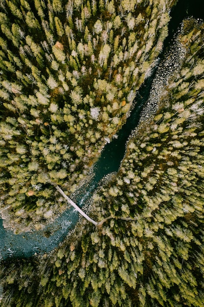 Vista aérea del río de agua azul con puente colgante y bosques verdes