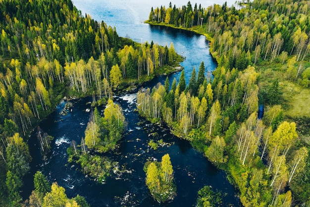 Vista aérea del río azul rápido en un hermoso bosque verde de primavera en Finlandia