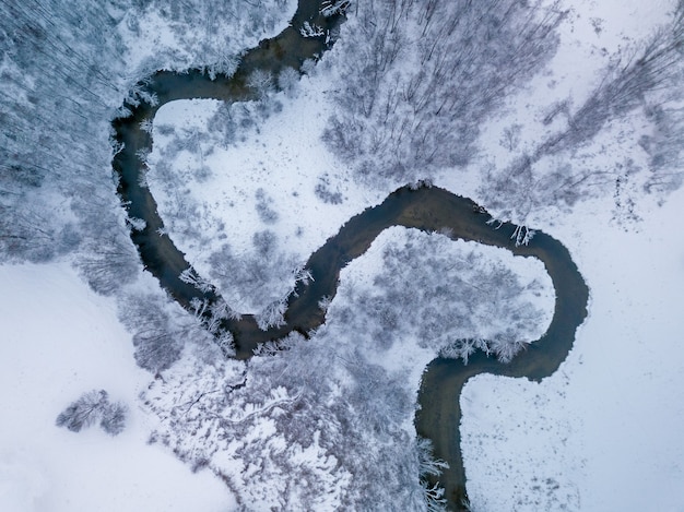 Vista aérea del río del bosque en época de día de invierno.