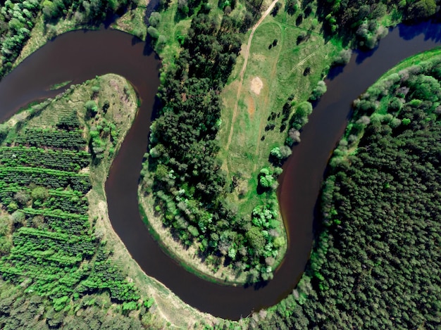 Vista aérea del río del bosque