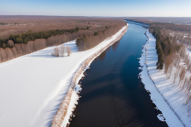 Vista aérea del río forestal en el tiempo del día de invierno