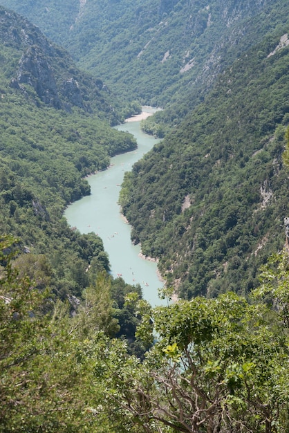 Foto vista aérea del río en medio de los árboles en el valle