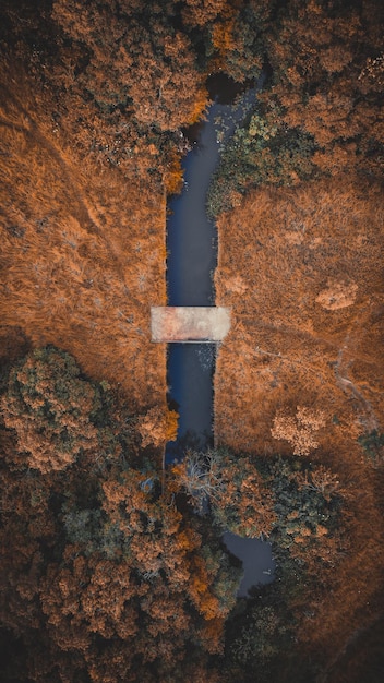 Foto vista aérea del río en medio del paisaje