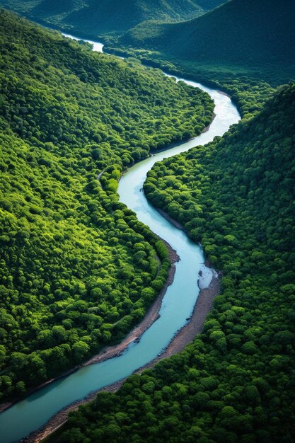 Foto vista aérea de un río sinuoso rodeado de bosque verde