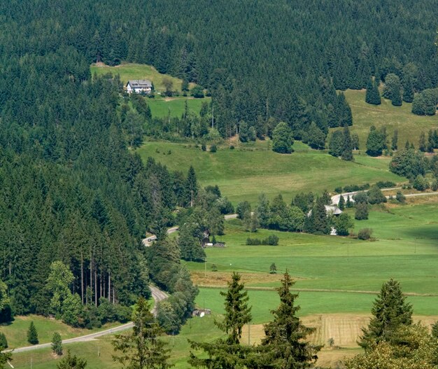 Vista aérea de la Selva Negra