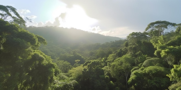 Vista aérea de la selva tropical brumosa en un día soleado con árboles imponentes