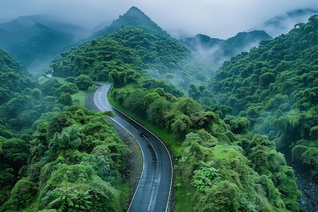 Vista aérea de una sinuosa carretera de asfalto en un bosque tropical de hoja perenne una cinta de asfaltado con gracia