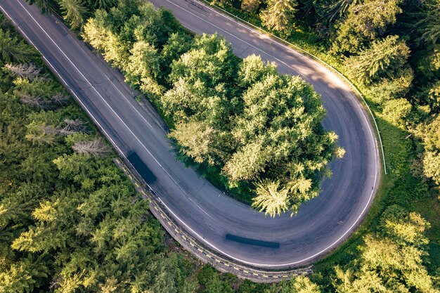 Vista aérea de la sinuosa carretera en el paso de alta montaña a través de densos bosques de pinos verdes.