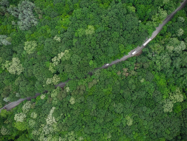 Vista aérea sobre a floresta com uma estrada passando com carro