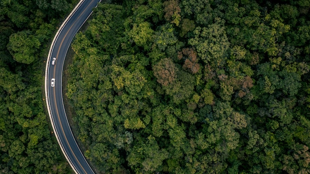 Vista aérea sobre bosque de árboles tropicales con una carretera que pasa con el coche, Forest Road.