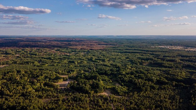 Vista aérea sobre el bosque verde. foto de dron