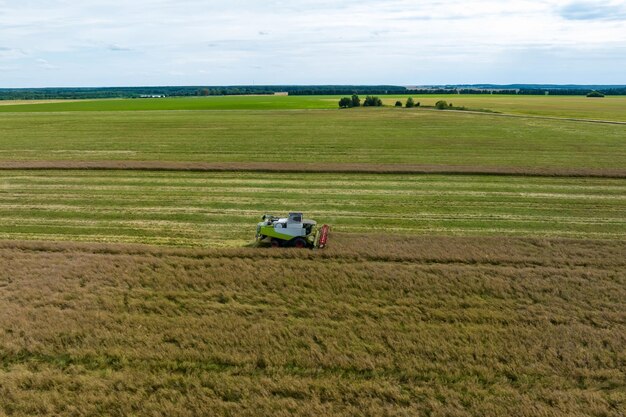 Vista aérea sobre colheitadeiras pesadas modernas removem o pão de trigo maduro no campo Trabalho agrícola sazonal