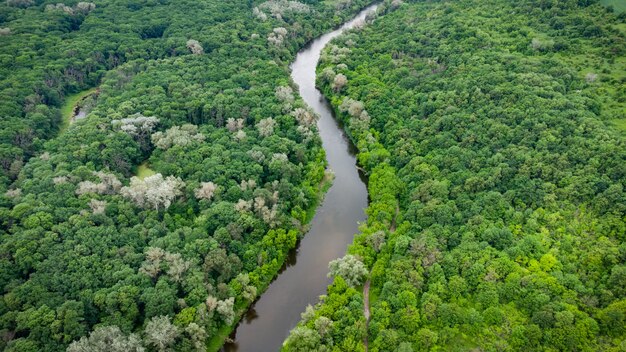 Vista aérea sobre o rio que fica na floresta verde. foto do drone